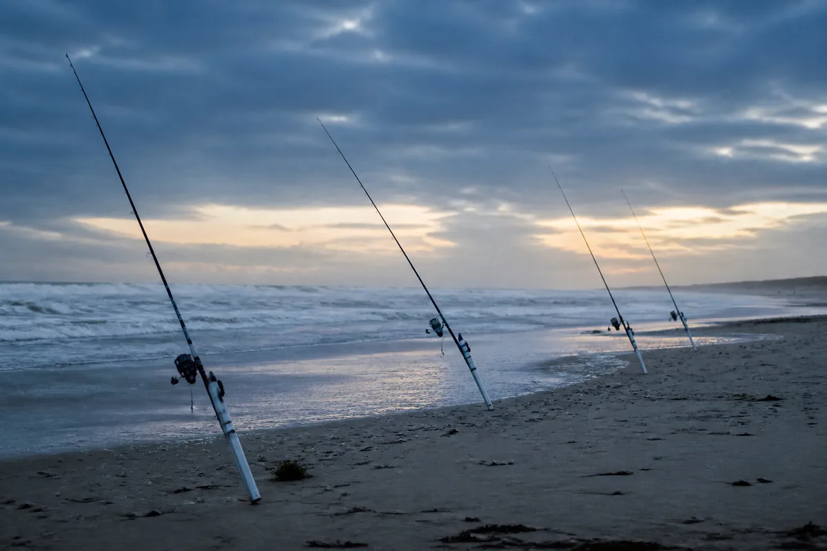 Cannes de surfcasting plantées sur une plage atlantique au lever du jour